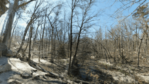 Alum Spring Park Fredericksburg, VA