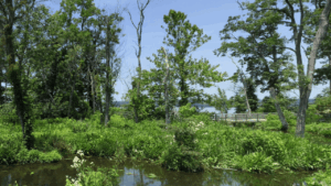 Mason Neck State Park Lorton, VA